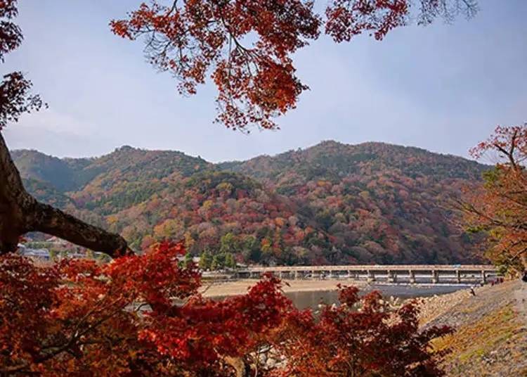 嵐山的自然美景 照片來源：站內文章article-a2000502