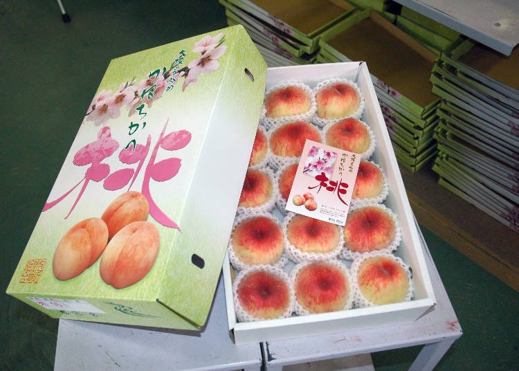 Kanechika peaches, a specialty fruit of the agricultural kingdom of Kishiwada.