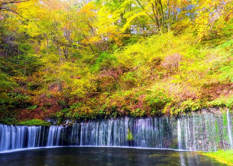 The stunning Shiraito Falls in Karuizawa (Image: PIXTA)