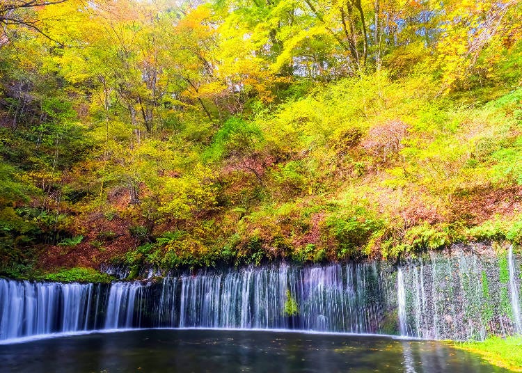 The stunning Shiraito Falls in Karuizawa (Image: PIXTA)