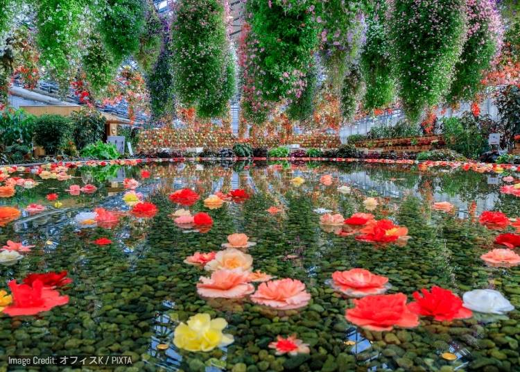 圖片來源：PIXTA