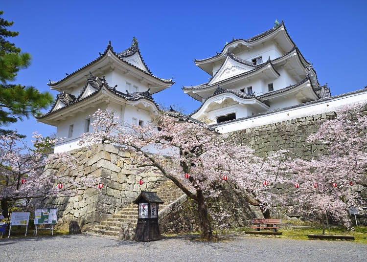 The beautifully restored Iga Ueno Castle in Mie (Image: PIXTA)