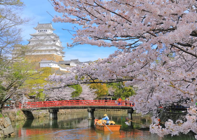 Himeji Castle is one of the most spectacular castles in Japan (Image: PIXTA)