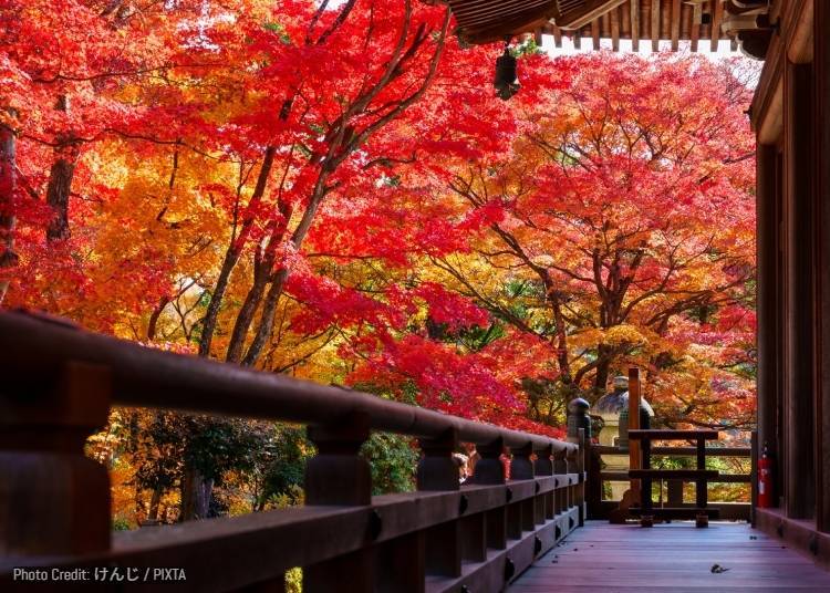 Highlight Rides: This Pass Is About More Than Getting Around