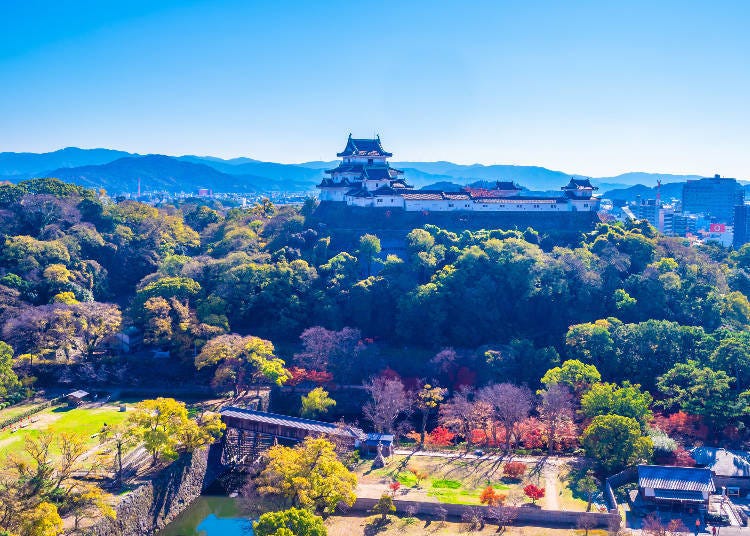 和歌山城和周圍的花園一年四季都很美麗（圖片來源：PIXTA）