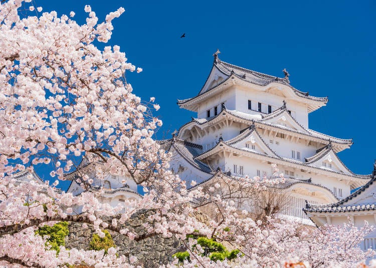 圖片來源：PIXTA