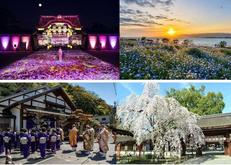 2024年4月大阪、京都等關西活動&祭典懶人包：環球影城、賞櫻體驗都有喔！