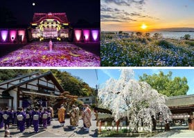 2024년 4월 오사카, 교토 등 간사이 이벤트와 축제 정리 - 전통축제와 최신까지!