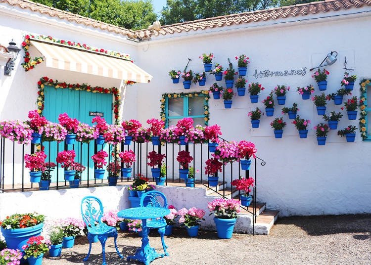 (Gambar adalah dari acara lepas)