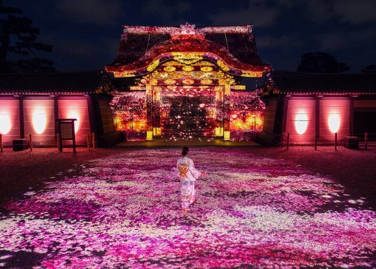 【重要文化財：唐門】光雕投影《Spring’s Awakening》