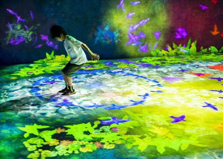 teamLab「Hopscotch for Geniuses」