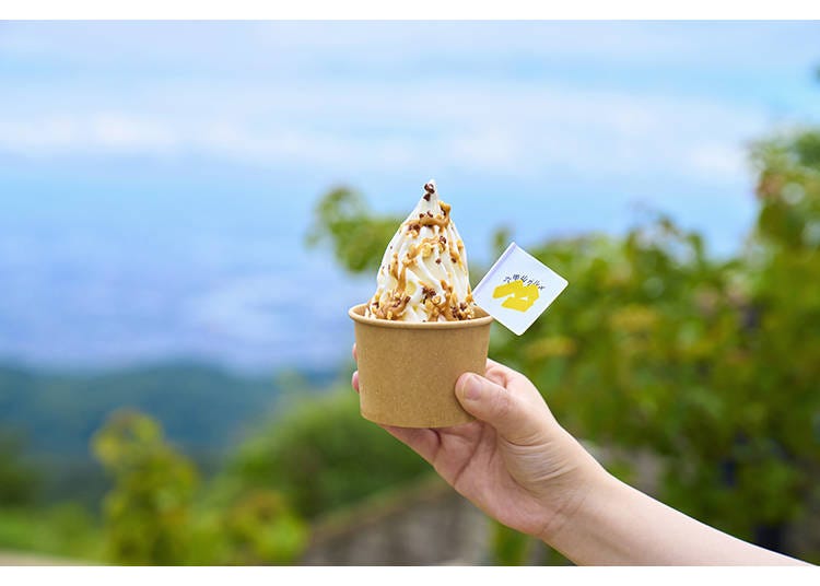 “六甲味噌焦糖淋酱软冰淇淋　700日元”六甲花园露台区域 「Granite Cafe」 外卖