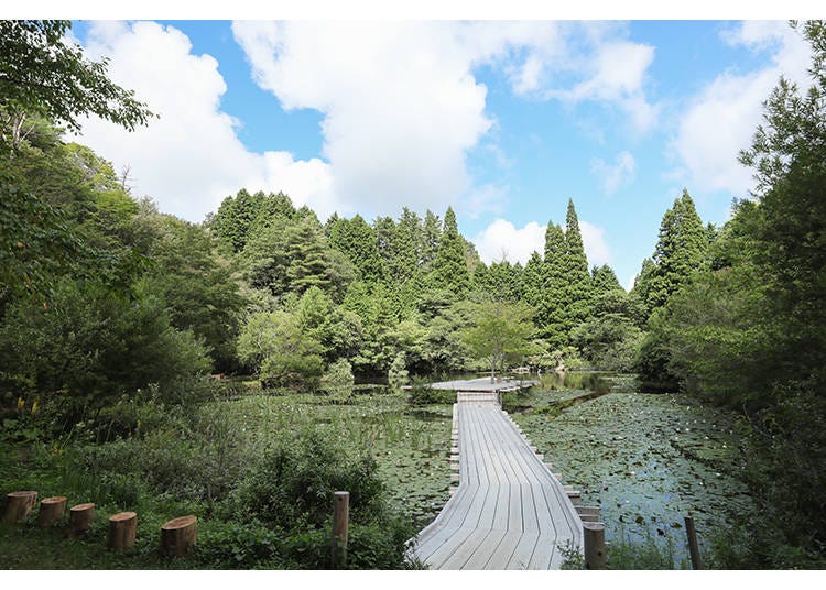Tadashi KAWAMATA, Extend bridge and Terrace (Bridge and Teracce in Rokko, Kobe), 2023-2024