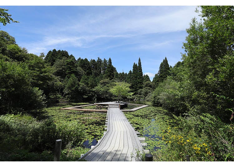 川俣正《六甲的浮橋與露台Extend 沉下橋2025》2025年