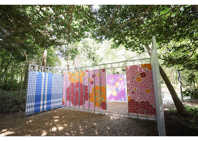 Michael Lin 《Tea House》2025年