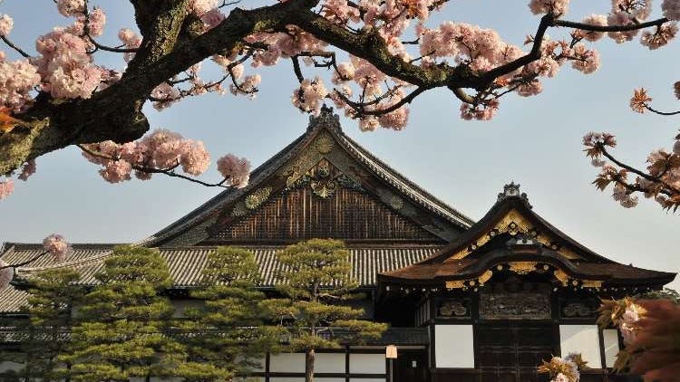 關西3月活動：京都＆大阪必玩祭典、美食與精彩體驗