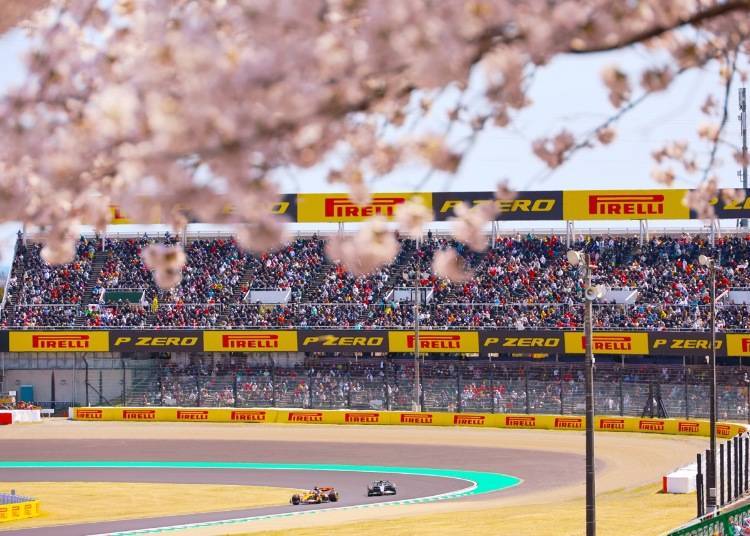 （圖片：F1GP 新聞稿）