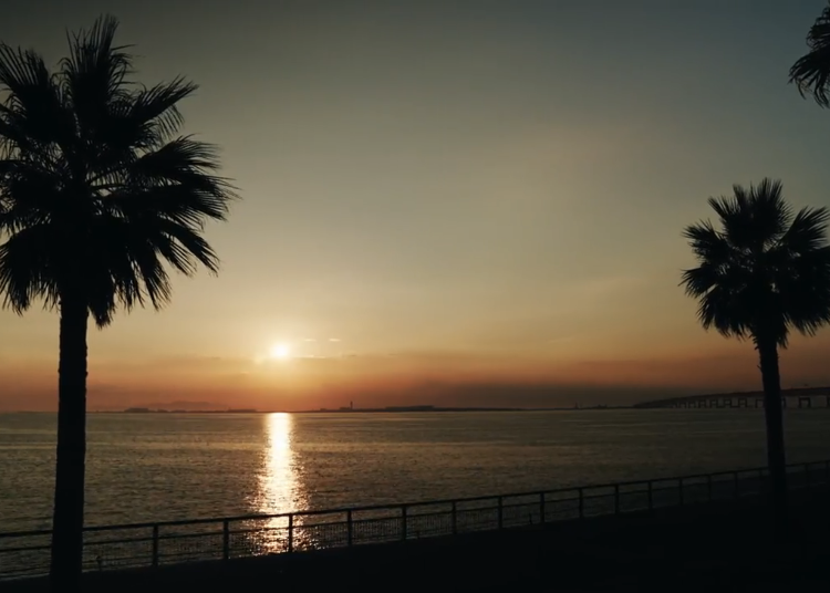 从观赏席欣赏的绝美夕阳,入选日本夕阳百选