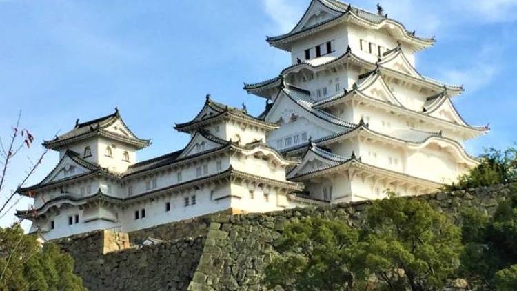 Explore Autumn in Hyogo Prefecture: Two-Day Road Trip to See Stunning Foliage and Top Attractions