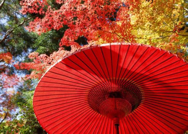 (Photo courtesy of Kobe City)