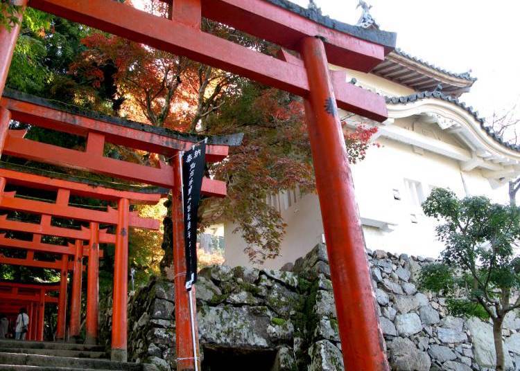 (Photo courtesy of Toyooka City)