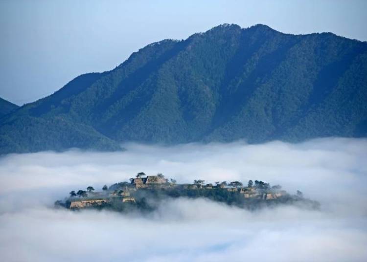 (Photo courtesy of Hyogo Prefecture)