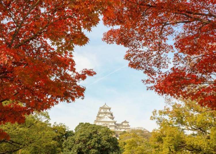 (Photo courtesy of Himeji City)