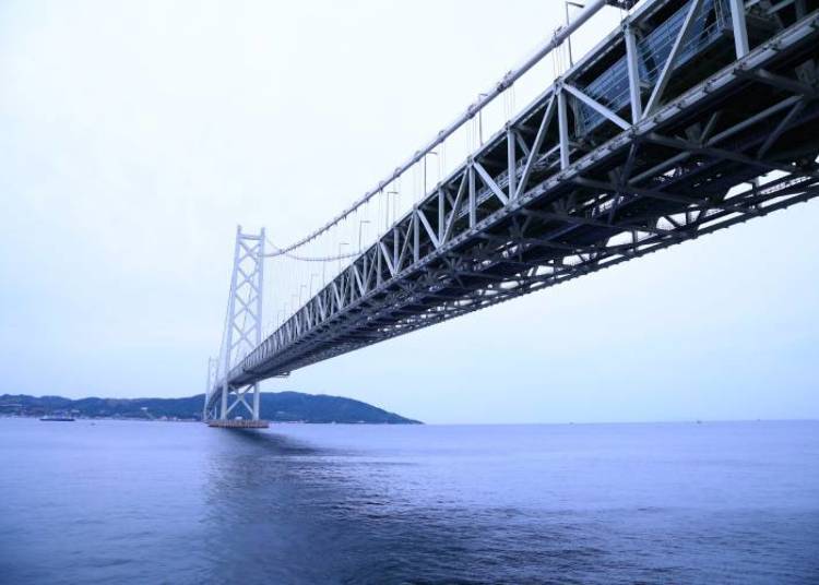 (Photo courtesy of Hyogo Prefecture) View from Maiko Park