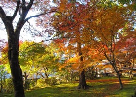 Two-day Road Trip for Shiga and Kyoto: See Gorgeous Fall Colors Around Japan’s Largest Lake