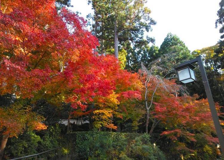 Sanzenin Temple