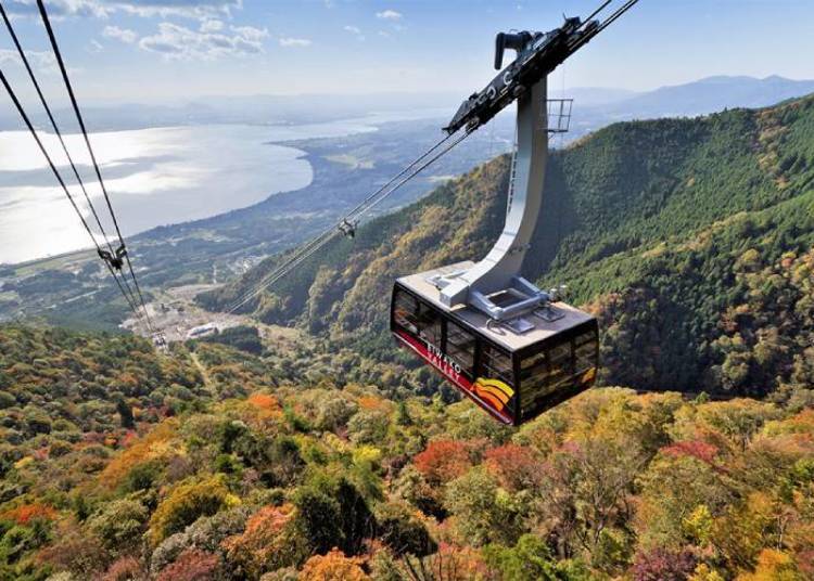 © Alpina BI Co., Ltd. All Rights Reserved.