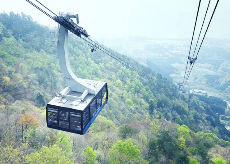 © Alpina BI Co., Ltd. All Rights Reserved.