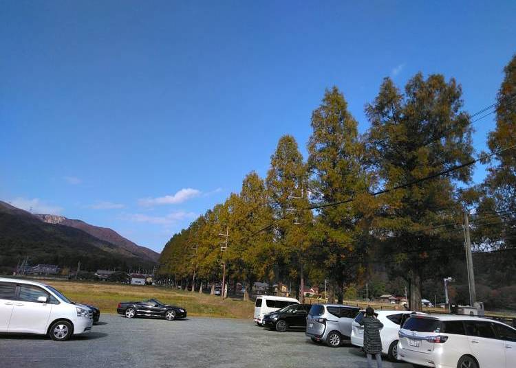 Makino Highlands