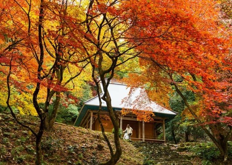 (Photo courtesy of Nagahama Tourism Association)