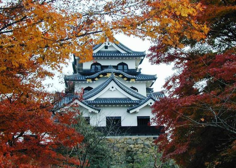 (Photo courtesy of Biwako Visitors Bureau)