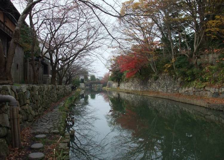 (Photo courtesy of Biwako Visitors Bureau)