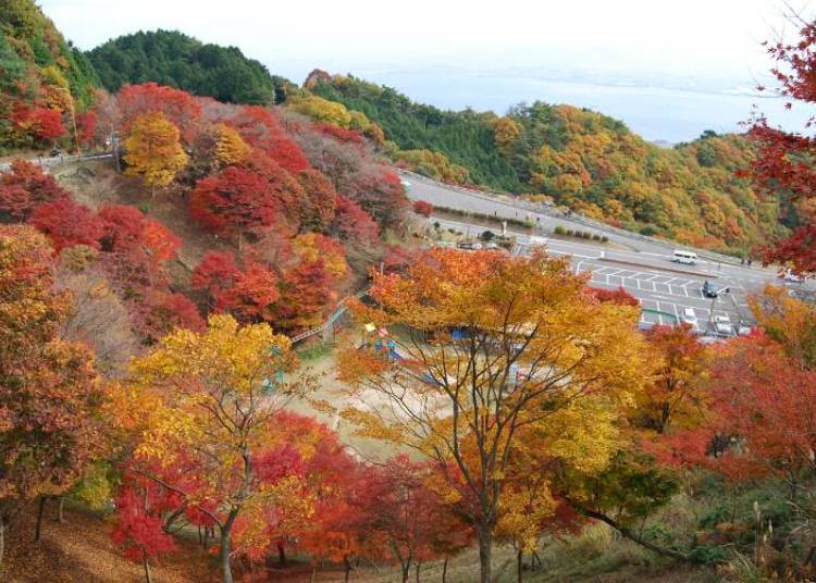 (Photo courtesy of Otsu City)