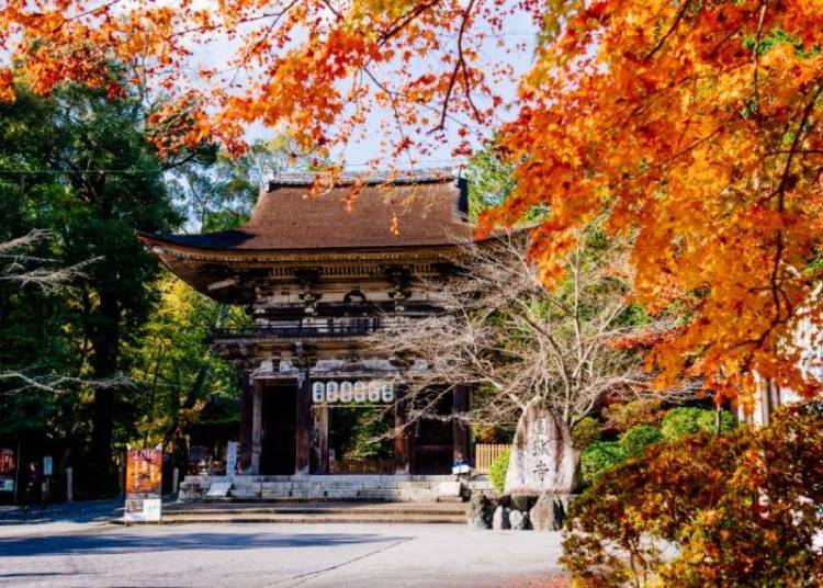 (Photo courtesy of Otsu City)