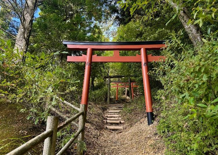 No.5 on the Women’s Pilgrimage Course, near Daimon