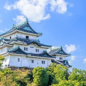 Wakayama Private Customizable Full-Day Tour
Details & Bookings ▶
(Image & activity provider: Viator)