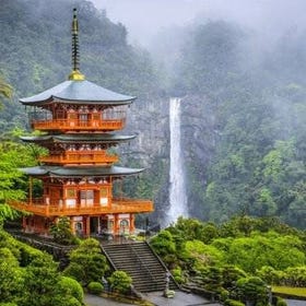 Mount Koya, Wakayama and Nachi Waterfall Tour
Details & Bookings ▶
(Image & activity provider: Viator)