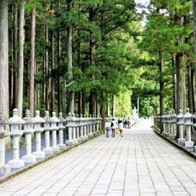 Kyoto to Mt. Koya One-Day Walking Tour
Details & Bookings ▶
(Image & activity provider: Viator)