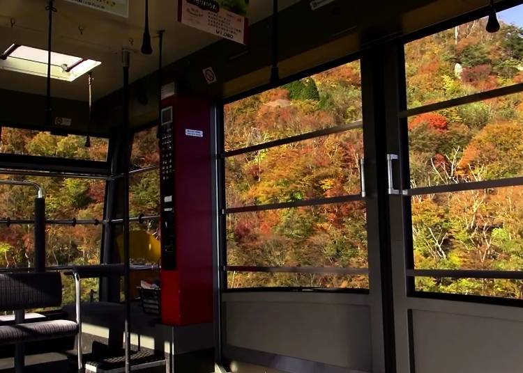 坐在纜車中被紅葉包圍，宛如身處紅葉隧道中 照片來源：PR TIMES