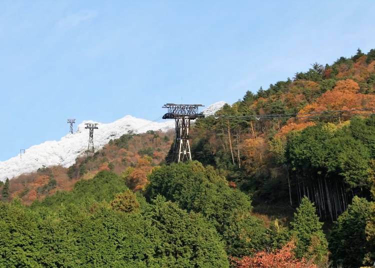 雪白、赤紅、翠綠的三色漸層美景 照片來源：PR TIMES