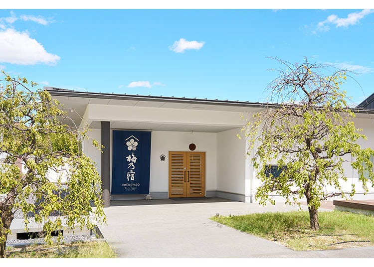 「梅乃宿酒造」で世界に一本の梅酒づくり