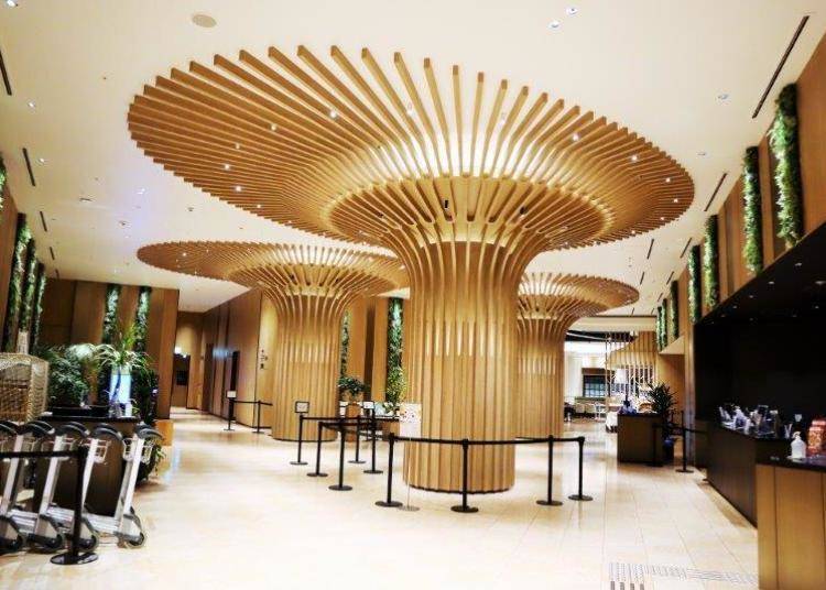 Enjoy a Comfortable Check-In at the Spacious Lobby & Front Desk