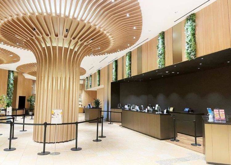 A Relaxing Hotel to Enhance Your Park Experience