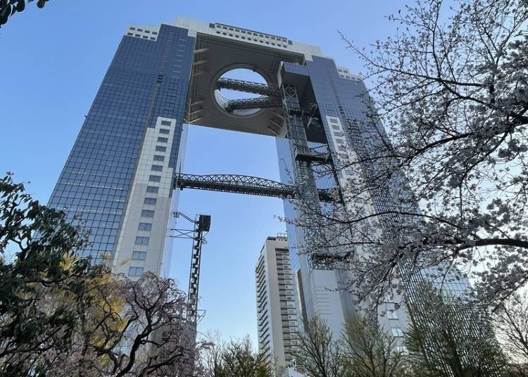 空中庭園展望台(梅田スカイビル)