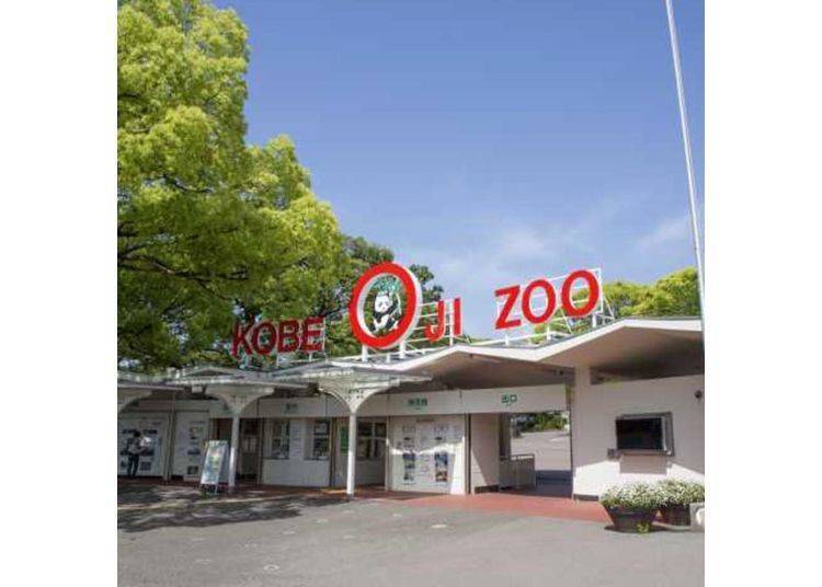 神戶市立王子動物園