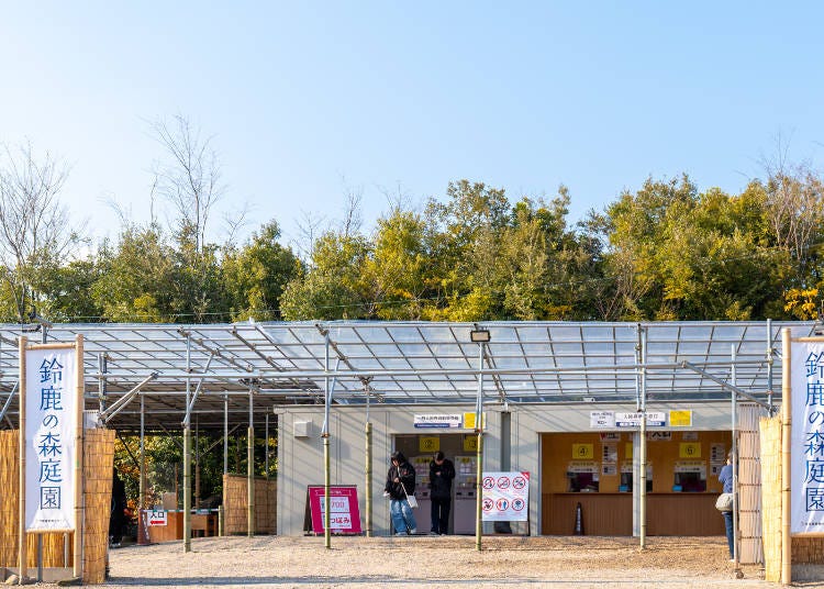 (Photo: Timothy Sullivan/LIVE JAPAN)